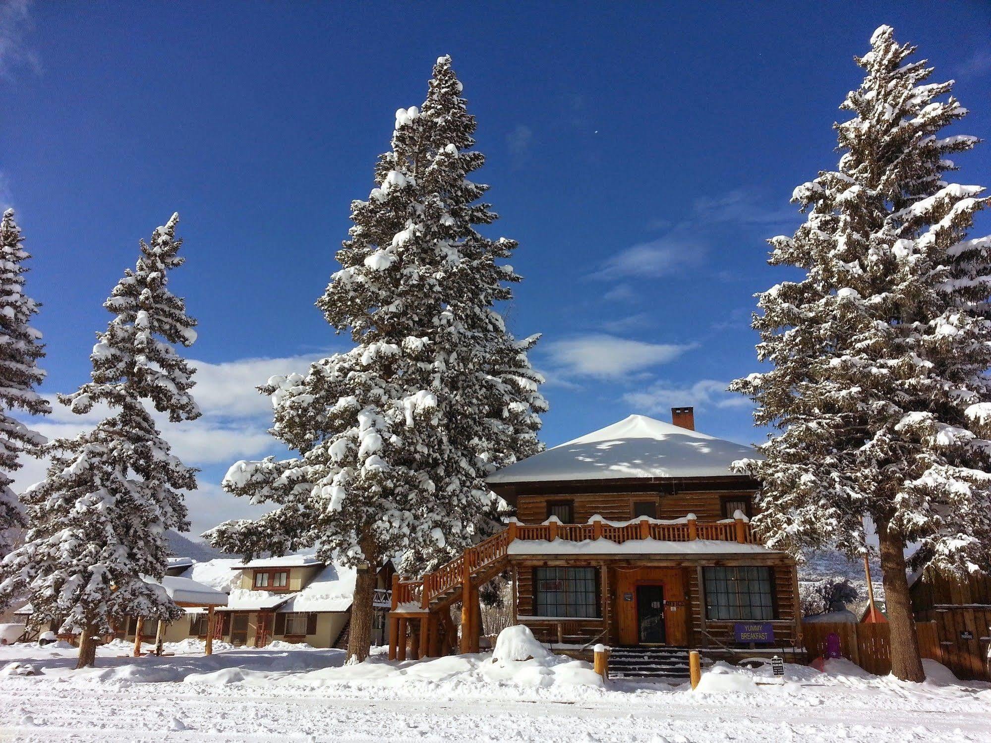 The Spruce *